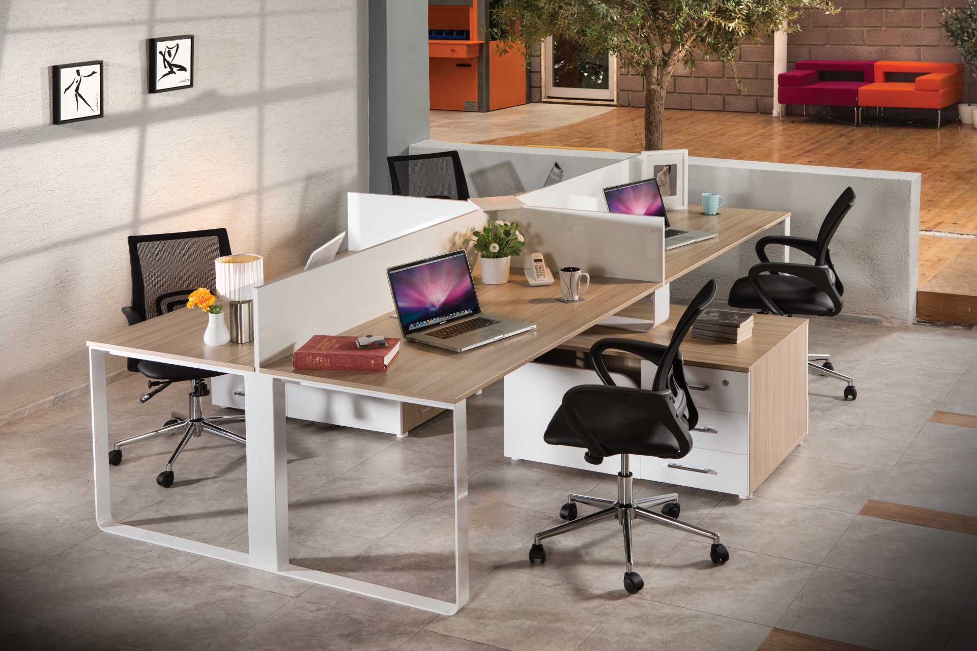 Medusa Workstation Çalışma Grubu