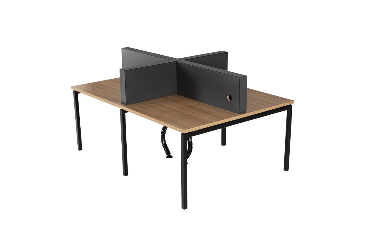 Ferro 2 Work Station 